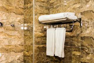 Отель Kristal Hotel Баку Стандартный двухместный номер с 1 кроватью-4